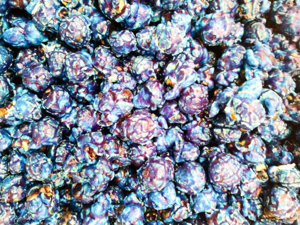 Blueberry